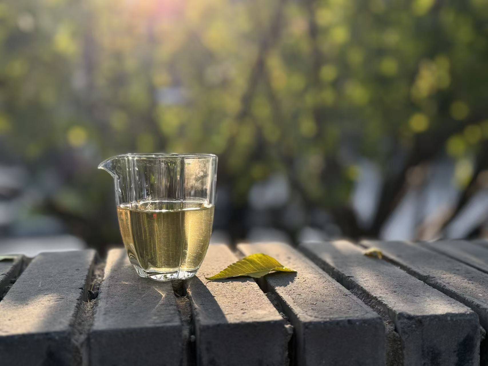 原创            什么茶适合冬天每天喝，而且越喝状态越好?村姑陈的答案来了！