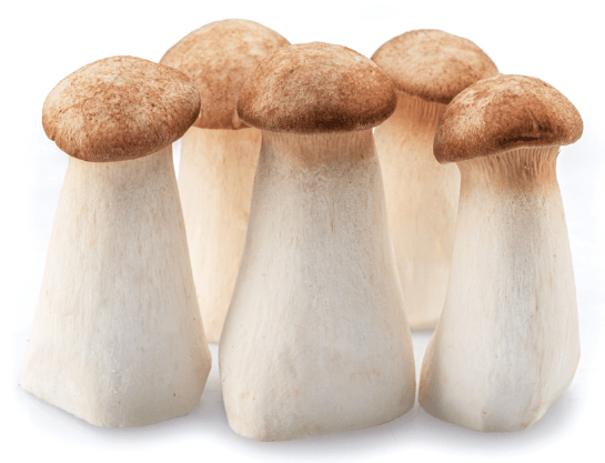 帕金森吃啥菜最好，看这篇就够了！