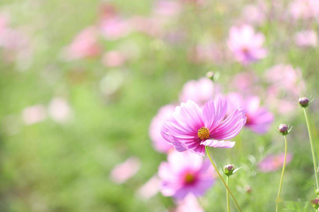 最让男人后悔的，不是断联，而是这样做