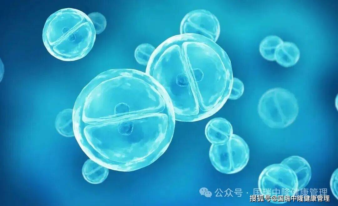 3分钟自测：你适合细胞抗衰吗？干细胞 VS 免疫细胞怎么选？