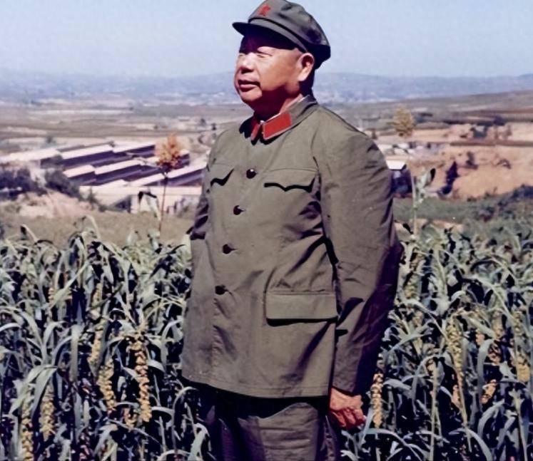 原创            陈锡联怒斥参谋长肖全夫：我的命令都不听？肖：谁才是战场指挥员