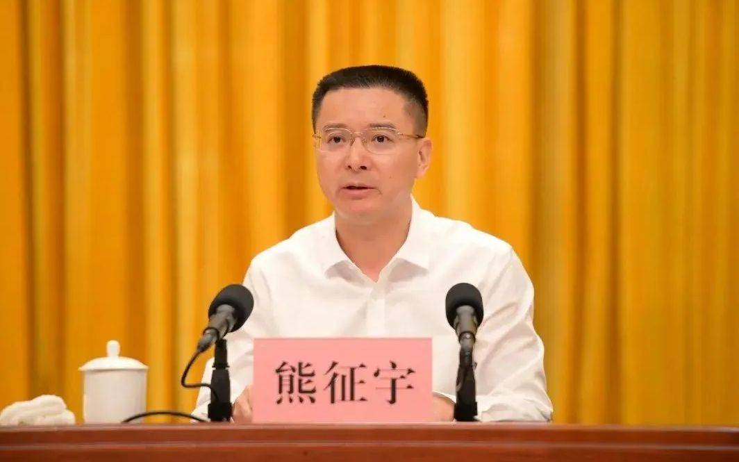 武汉市市长调整