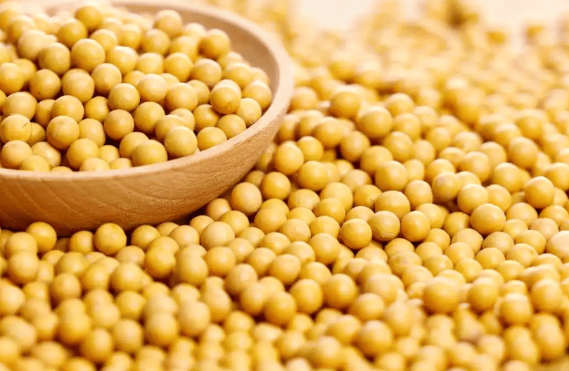 “冬天吃一豆，养颜又长寿”，多吃这豆，补充蛋白质