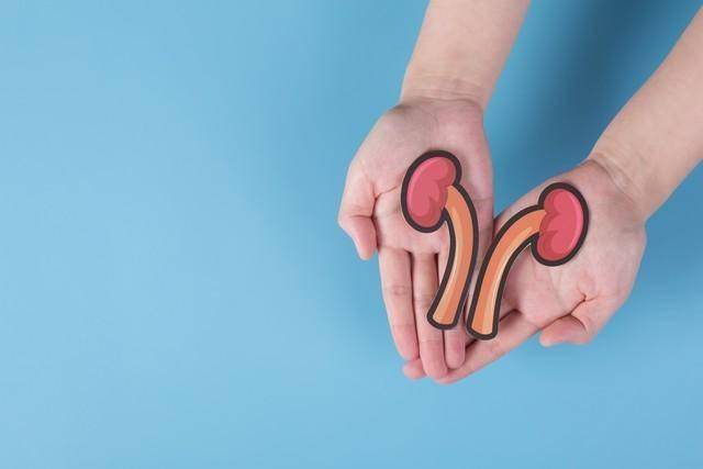 男性功能下滑别焦虑！5种纯中药经典方对症调，帮你重拾状态