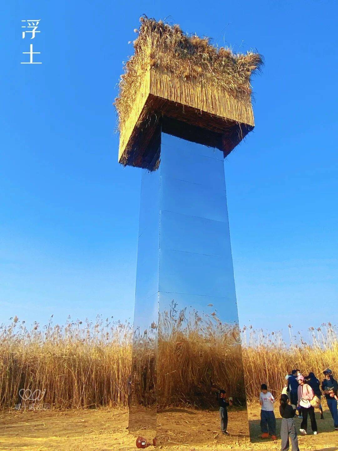 万亩芦苇艺术节，岳阳这波好惊艳！