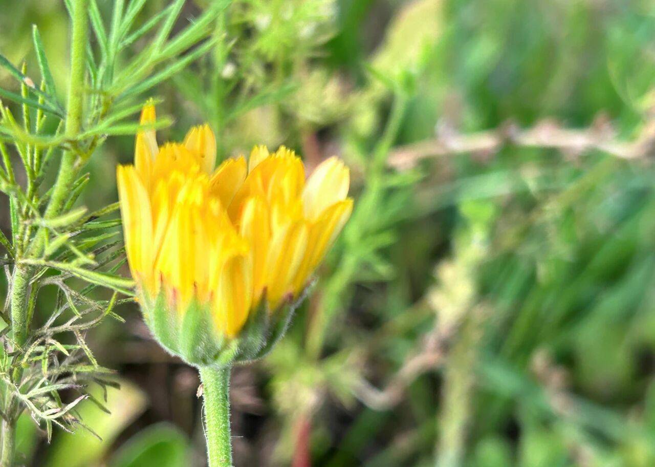 原创            两个字，就能看清一个男人对你的真心