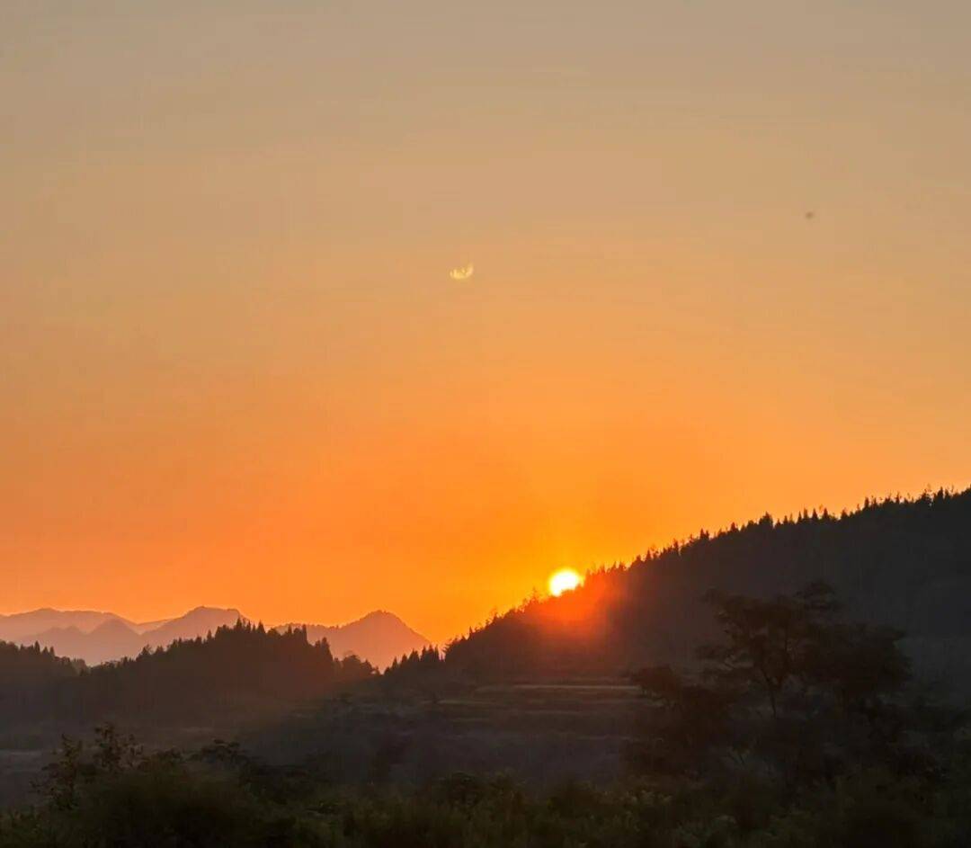 古玩圈的“打枪”现象