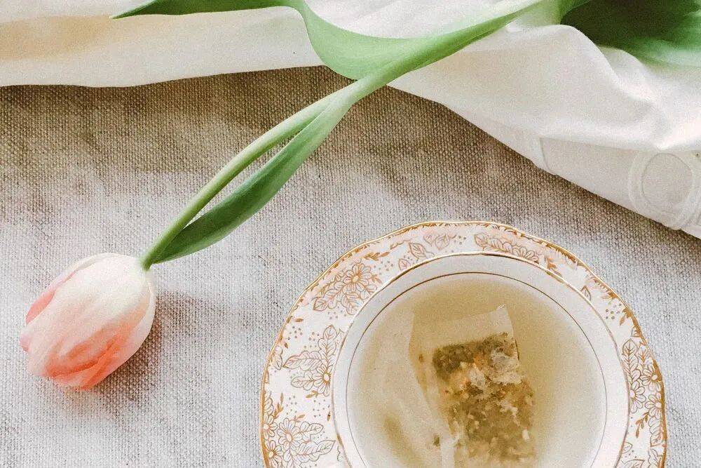 新书放送 · 第53期