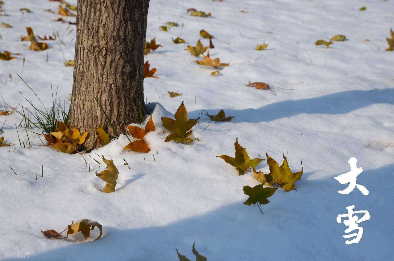 原创            12月7日大雪，最补的肉不是牛羊肉，而是这3种肉！滋补强身不怕冷，好消化又解馋！
