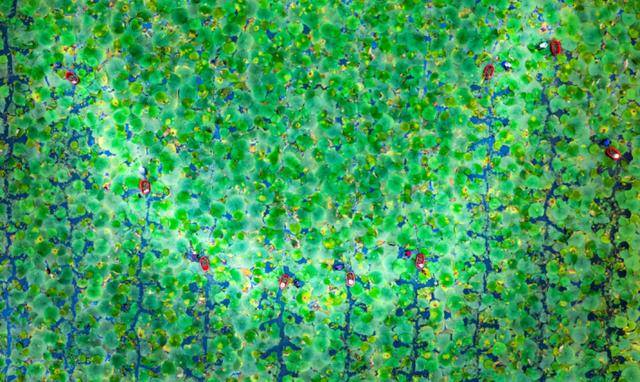 图说信阳｜光山14幅摄影作品入选中原民间艺术节摄影展