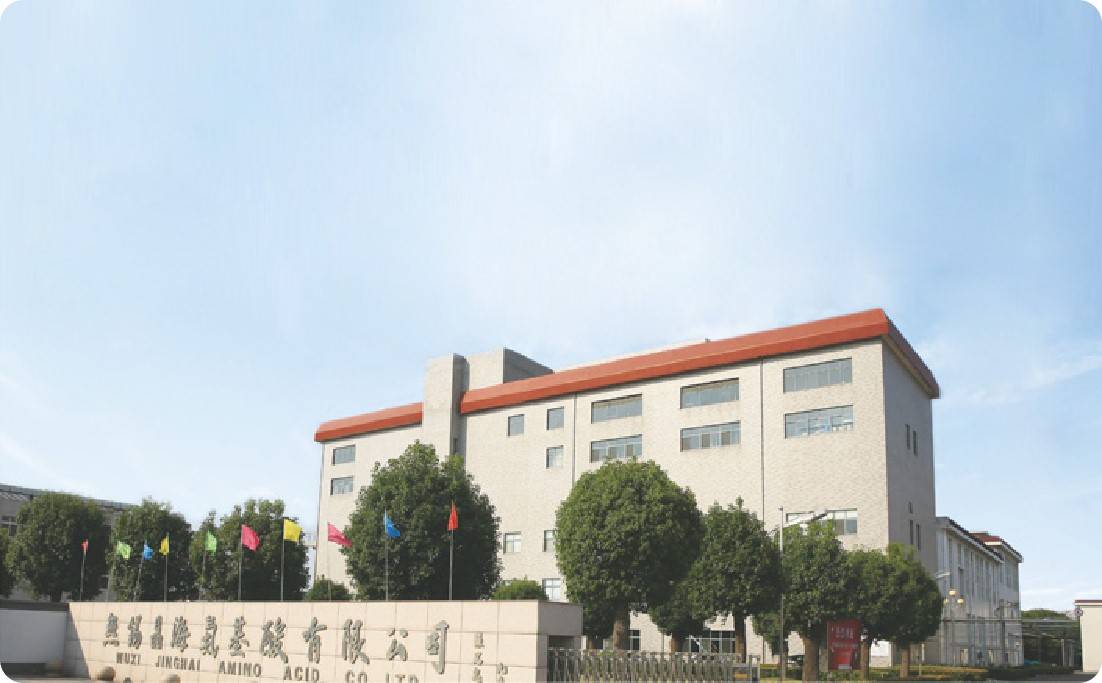 探寻醋酸赖氨酸优质之选：晶海氨基酸的卓越风采