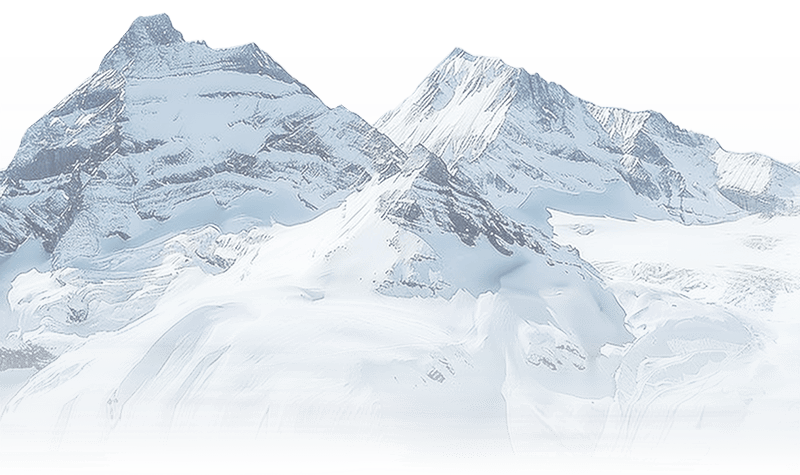 大雪压青松，辛姜煨寒冬