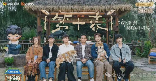 原创            《亲爱的客栈》重启：王鹤棣沈月古早CP再合体，这阵容能救芒果慢综艺吗？