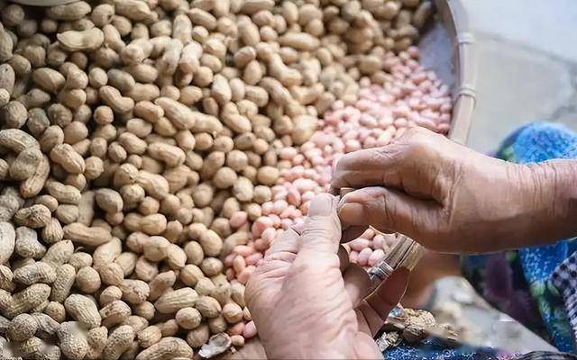 花生竟然立大功？研究证实：每天10粒，胰岛素敏感度或提升20%？