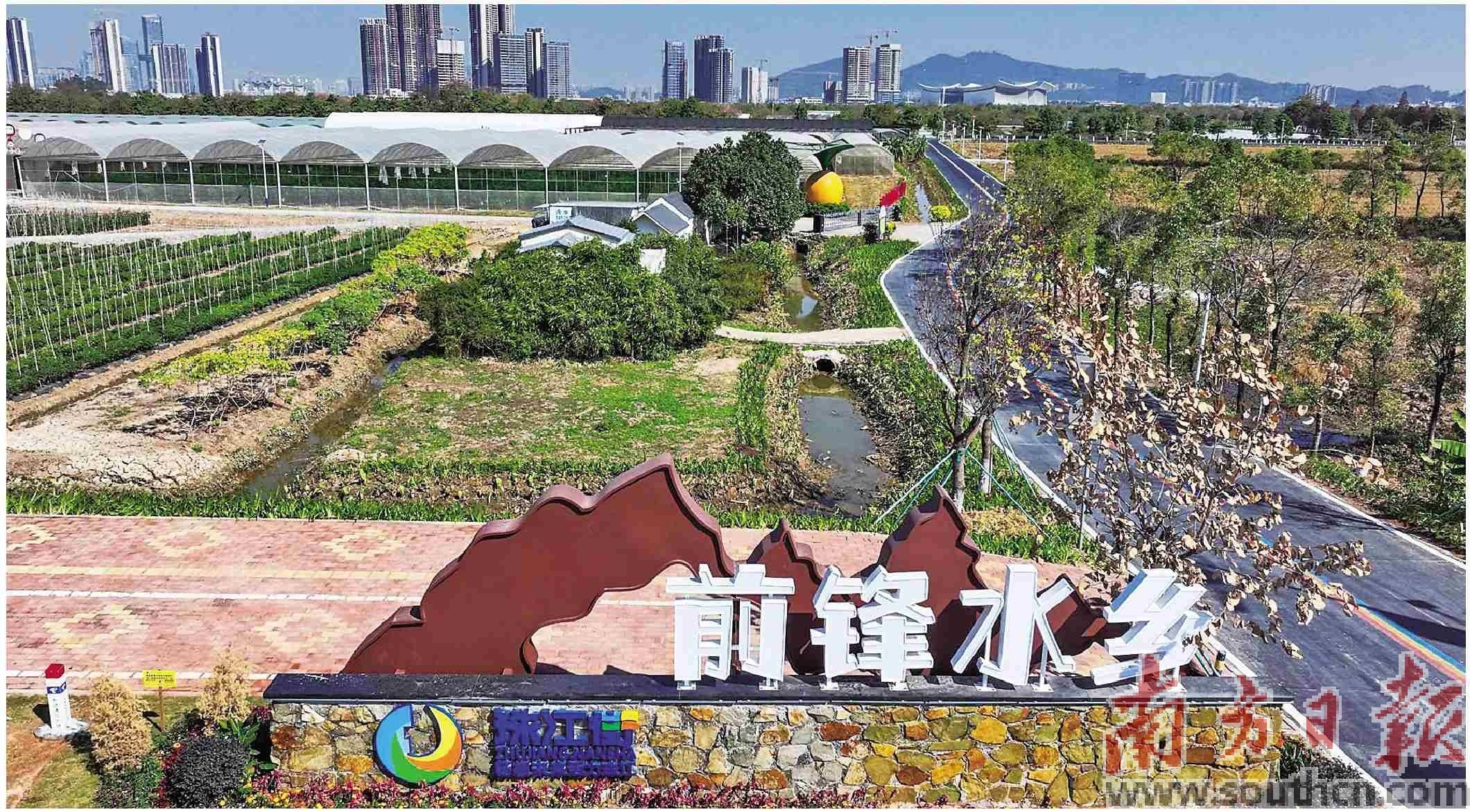 南沙万亩城央公园 藏着“钻石水乡”