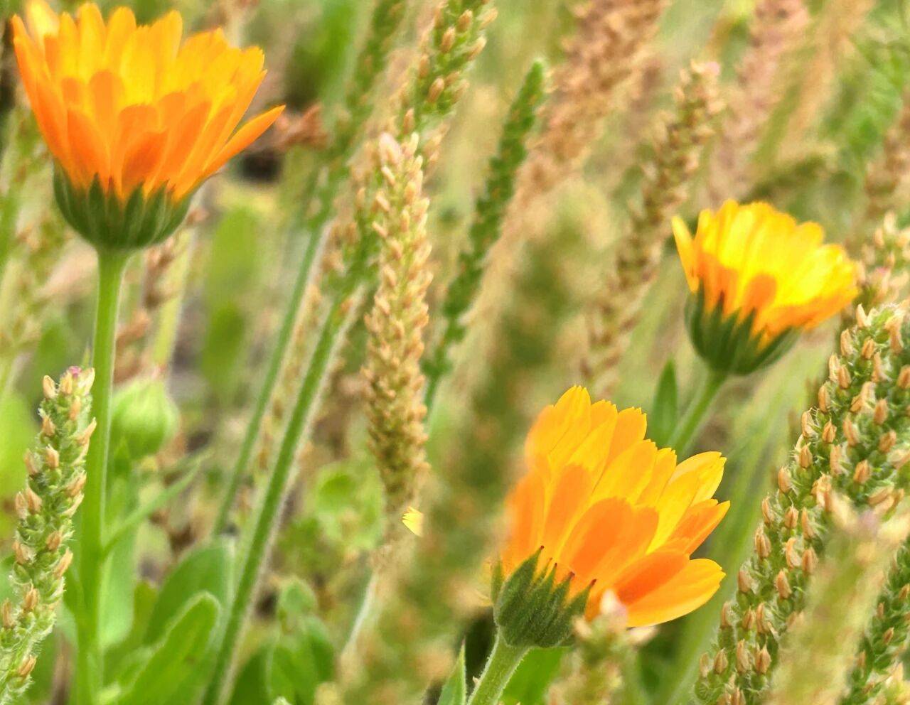 原创            男人对外人很好，唯独对你不好的原因，现实