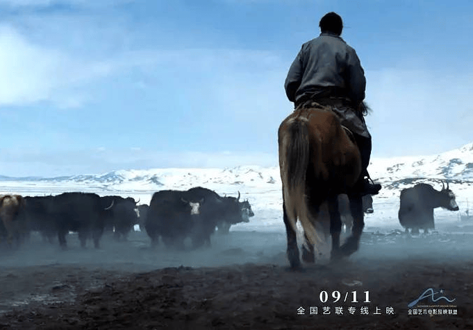 电影《洛桑的家事》网播定档1209