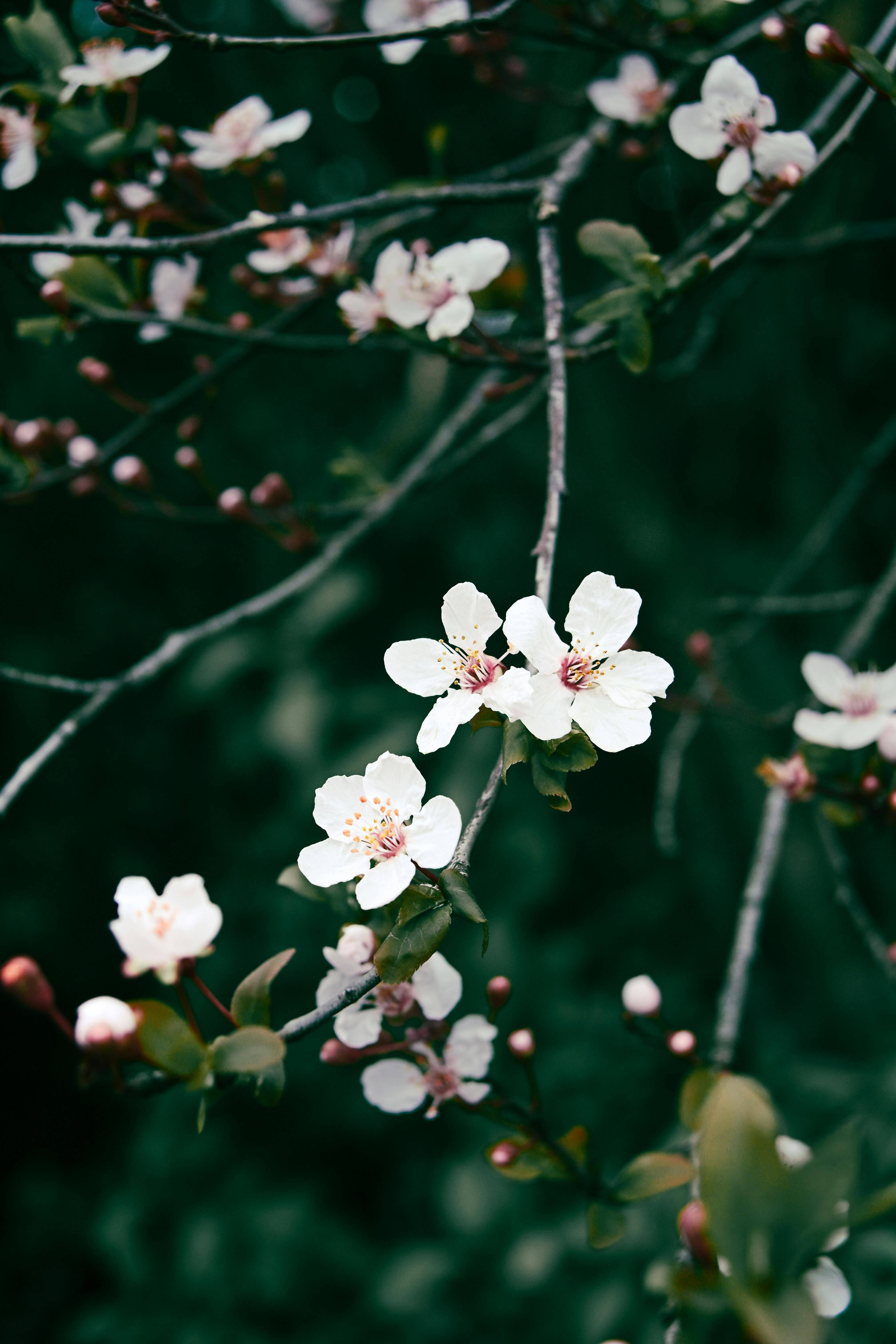 一个男人根本不爱你的三种表现