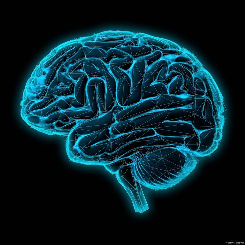 大脑可塑性：一生中意识和行为还能改变多少？
