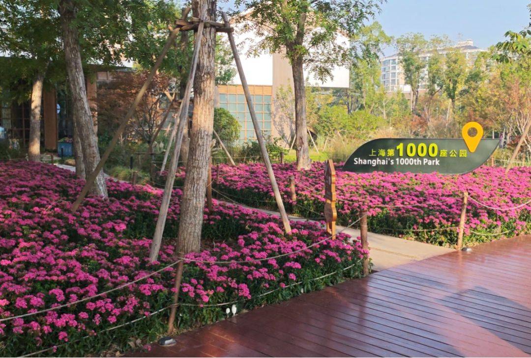 西岸自然艺术公园：生长在“千园之城”刻度上的城市会客厅｜“十四五”答卷