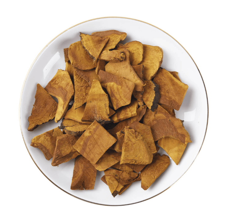 桑黄多糖通过调节肠道菌群抑制结肠癌的机制探讨