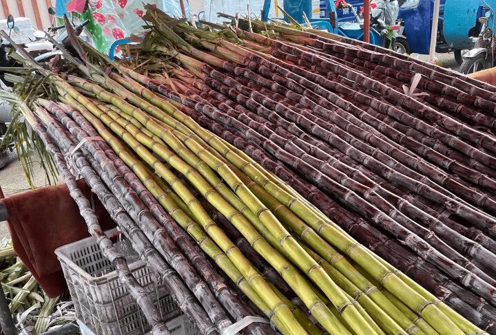 甘甜爽口，近期大量上市！这种水果不要拿来就啃