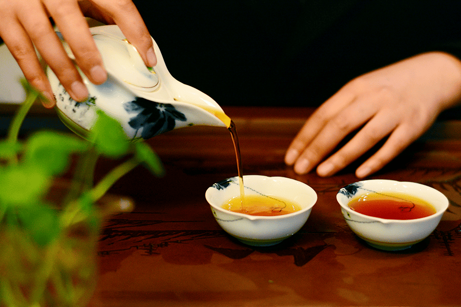 吕文扬品茗探索茶与节气养生的适配之道