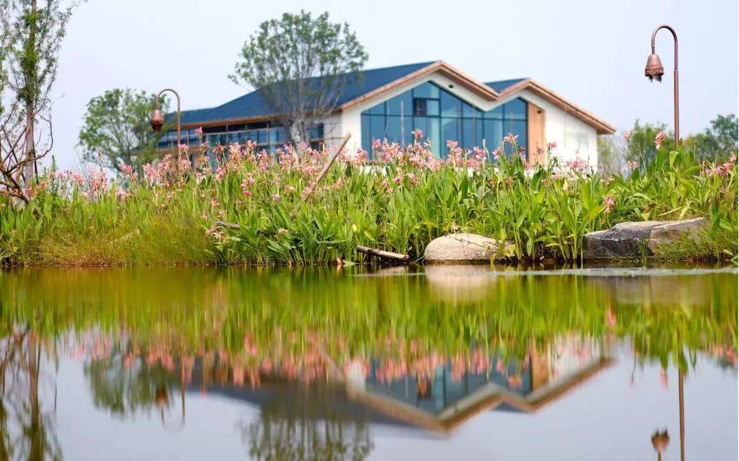 全店书籍免费阅读！牛角村藏着一座宝藏书屋~