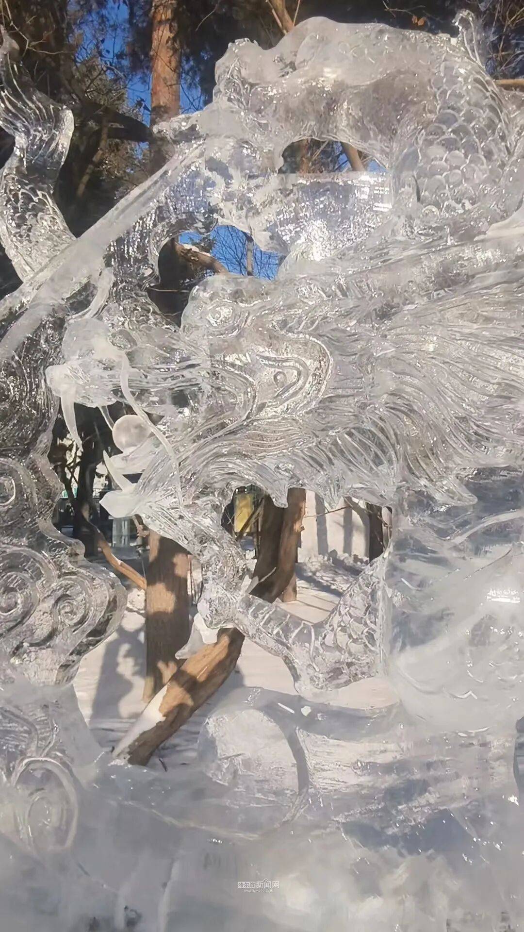 冰天雪地喜乐飞扬，300余冰雪雕作品齐亮相｜记者提前探访第52届冰灯艺术游园会