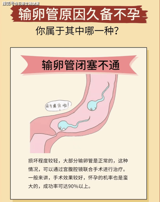 花笙生殖试管分享：女性输卵管经常堵塞，为什么生殖医生不推荐输卵管通液？