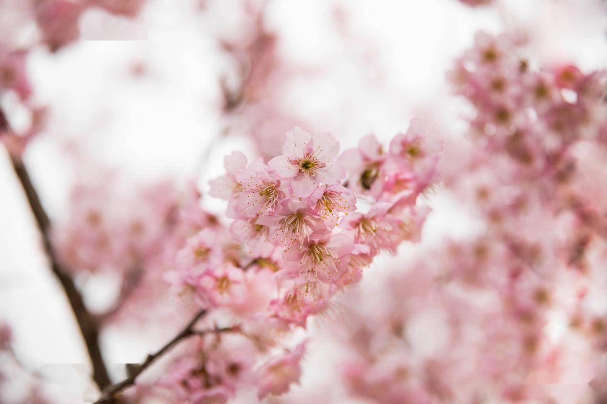 中年男人有这些下意识的举动，不是讨厌你，而是深爱你很久了