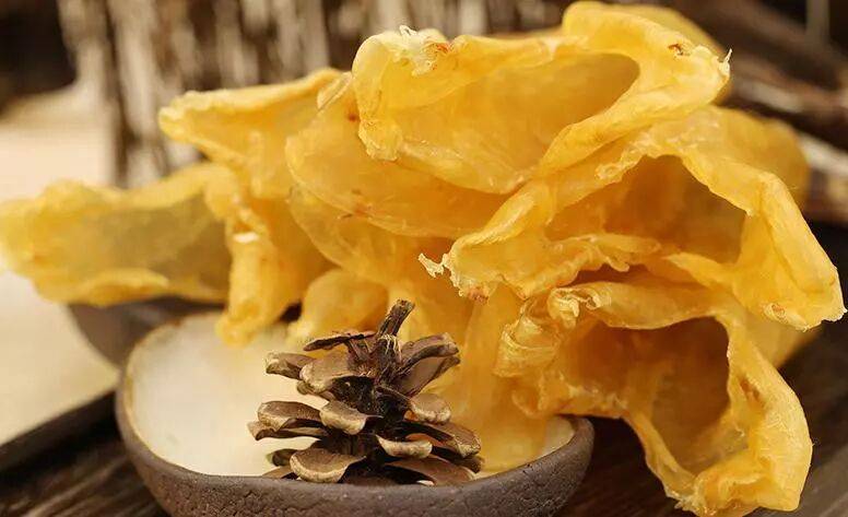 来自民间的鱼胶食疗方你知道多少？防病强身，为家人收藏好！