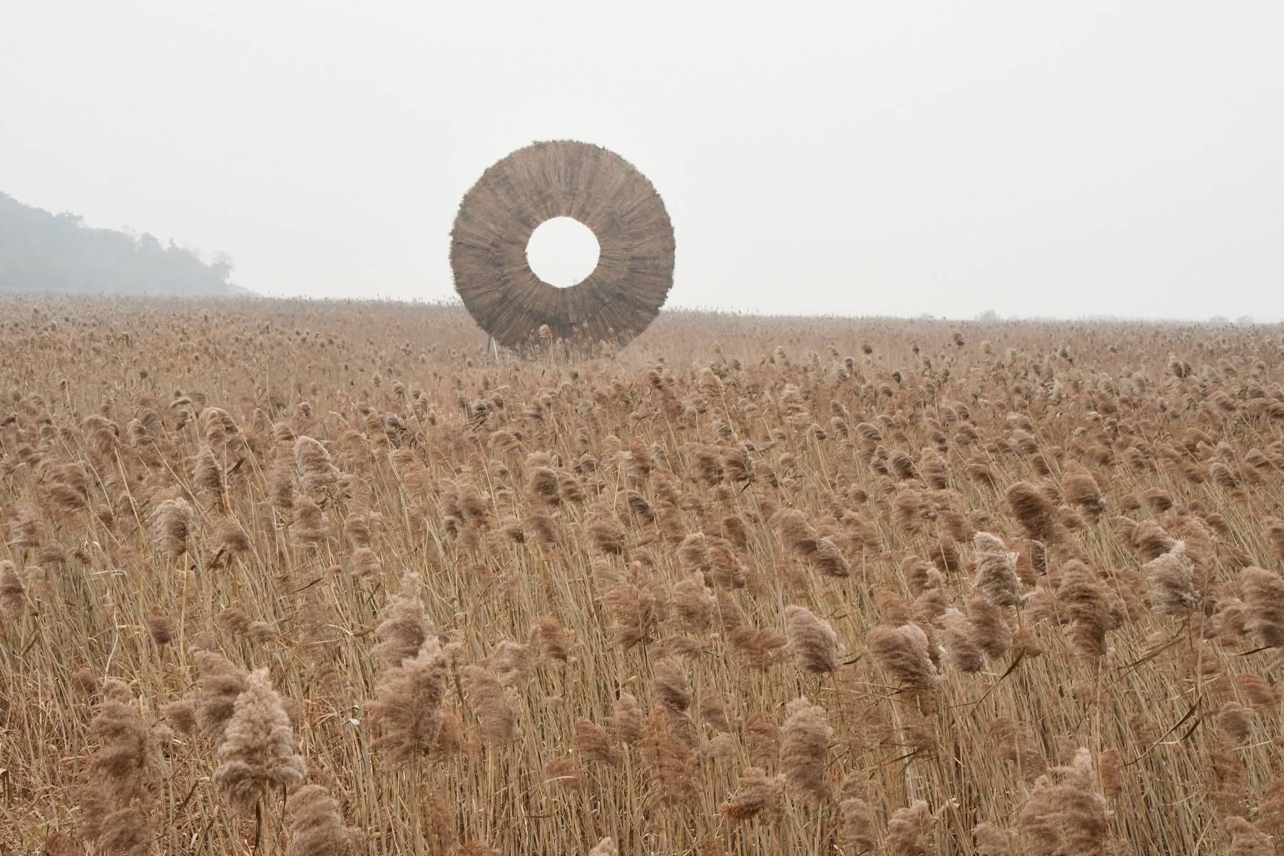 第三届国际芦苇艺术季在湖南岳阳开幕，游客：超出预期，作品“更有生命力和温情”