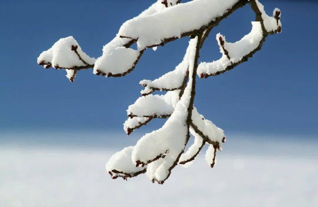 今日大雪：一年最“藏”之时，记住三忌三宜，吃好三样、喝好三样、做好三样，让身体稳稳过冬！