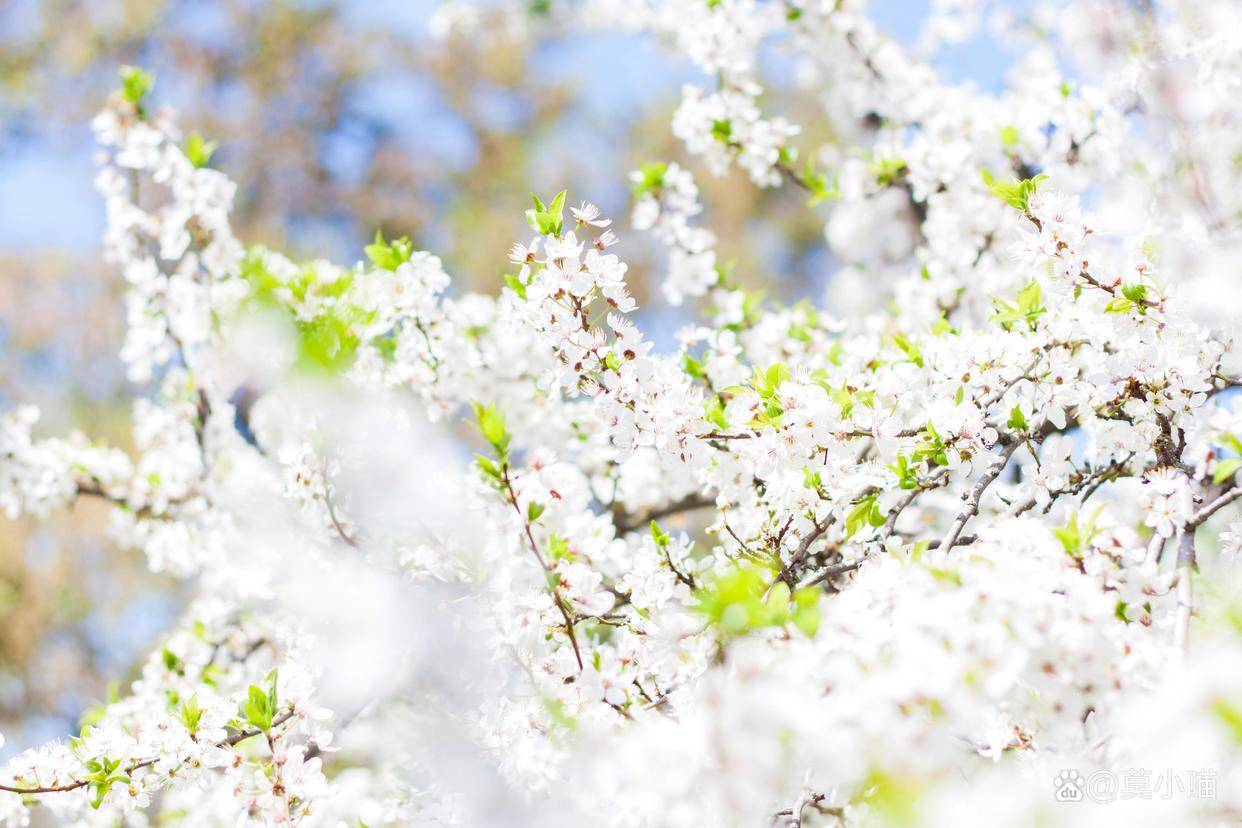 真心爱你的男人，身体反应很明显，爱到极致了，这几个“生理性”冲动藏不住