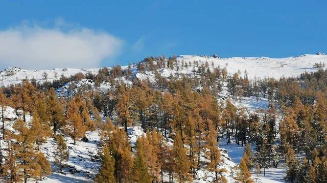 以正念为舟，以同行为暖，治愈身心困顿——习练八步法半年感悟