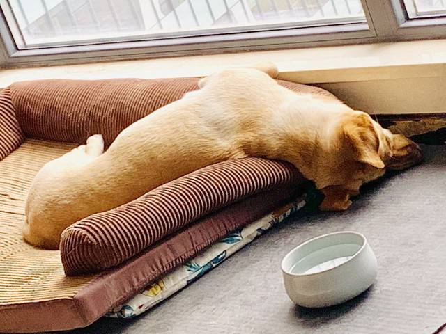 如何补充内心能量来对抗焦虑抑郁？