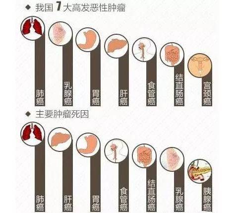 人人都怕癌，但癌细胞也怕你，怕你做这些事！