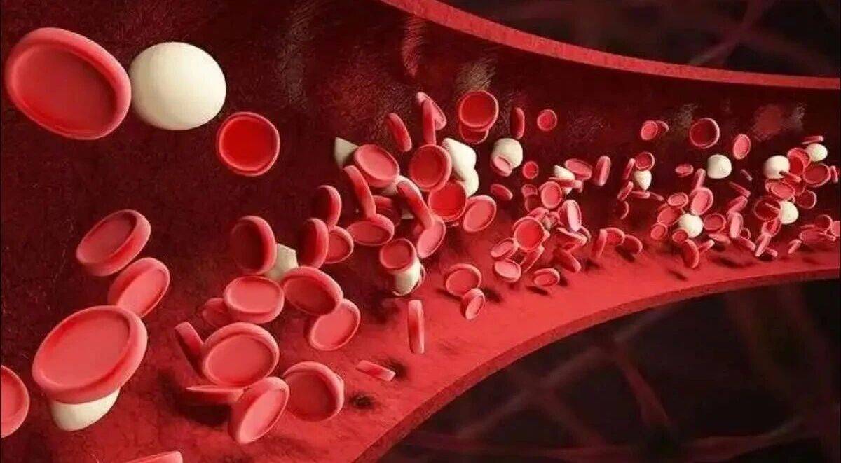 一个人血液太“稠”了？身体会悄悄发出这5个信号，别再忽视！