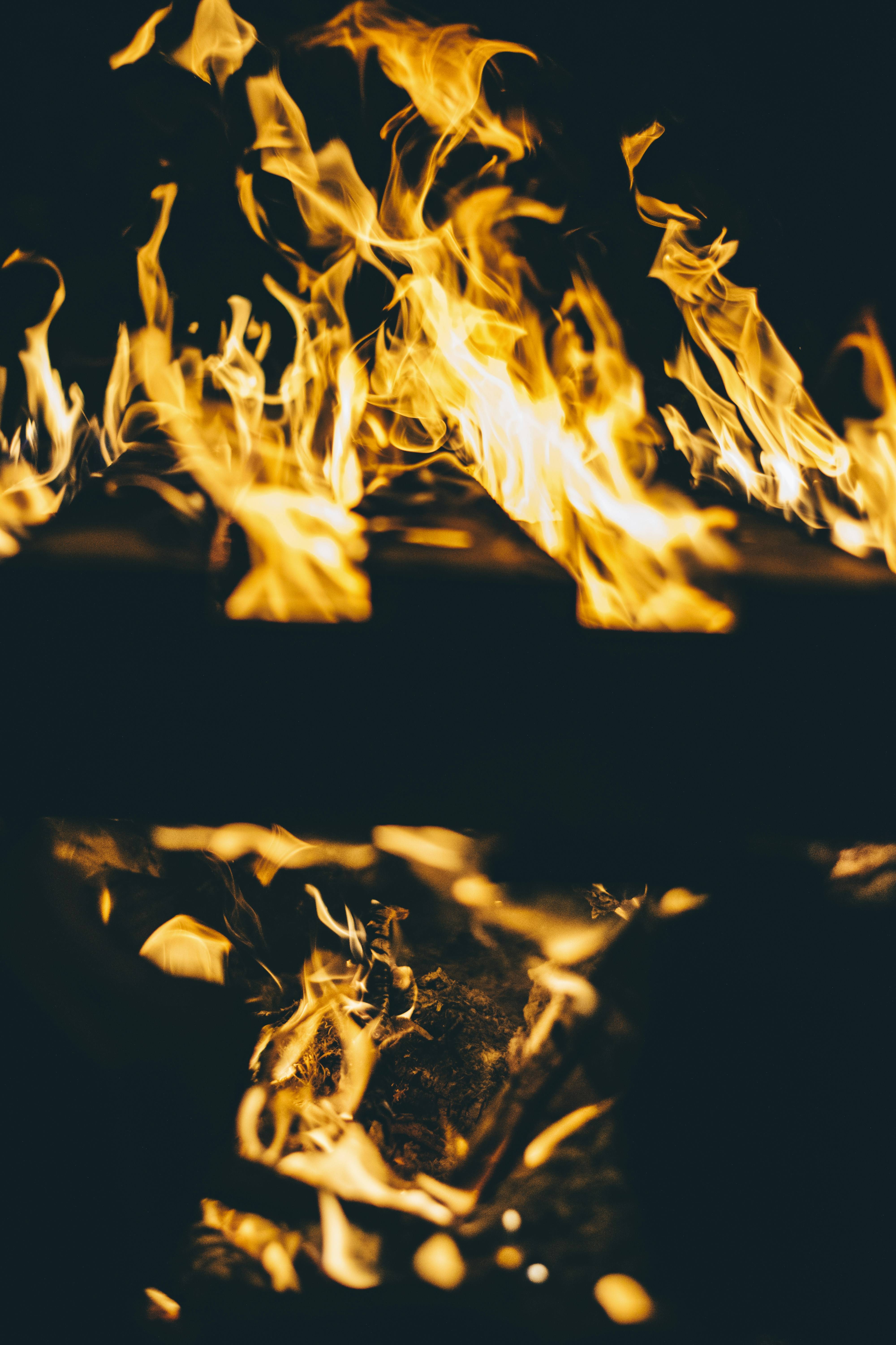 医生建议：冬天养骨的最佳食物，替代白菜萝卜，腿脚更有劲