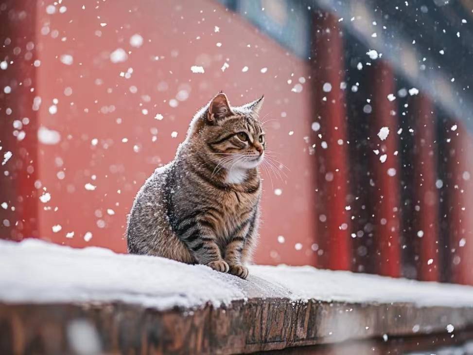 有感于中庸之道