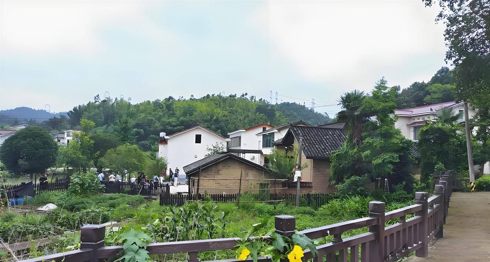 黄力医生：为什么农村的脑梗患病率会比城市高?