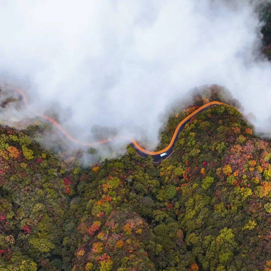 抖音福利大放送！误入八里沟的油画秘境