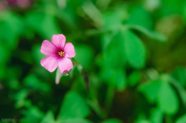 男人身上有如下“味道”，意味着他变心了