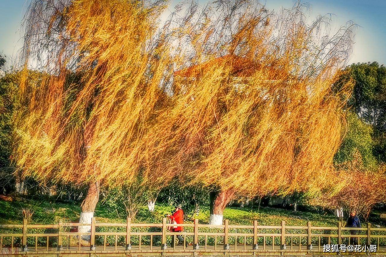 冬至后，少吃土豆白菜，多给孩子吃这3种“冠军菜”，应季还实惠