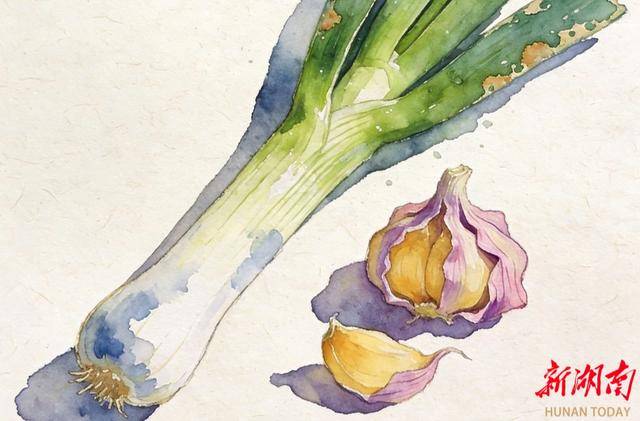 吃葱蒜可延缓大脑衰老