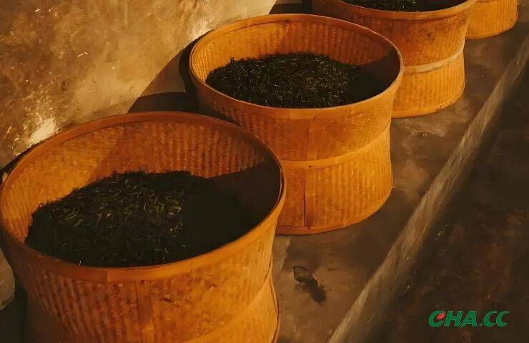 茶叶烘烤过真的会上火吗