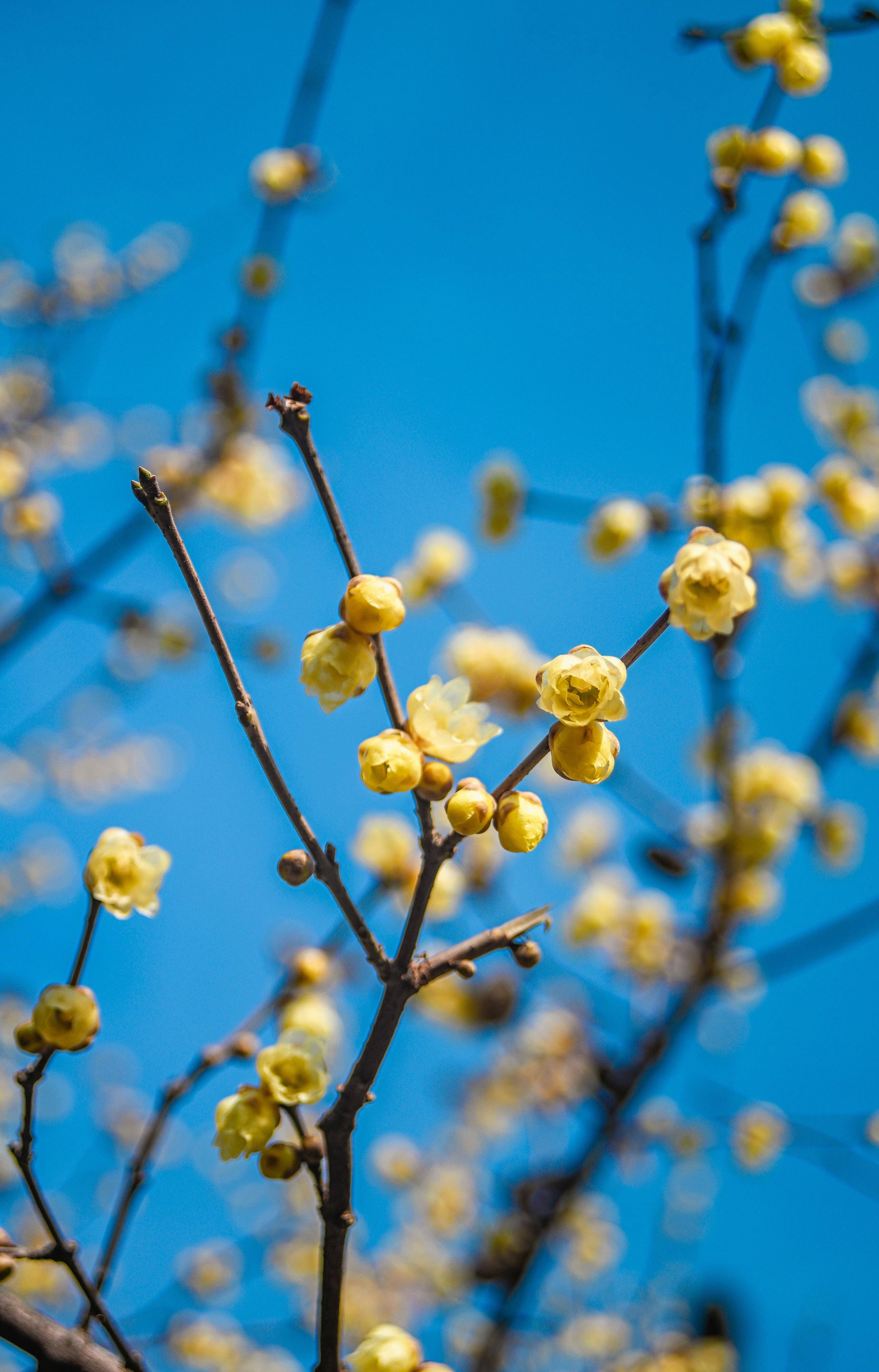 冬至养生注意事项：健康科普全解析