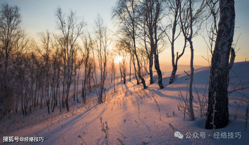 原创            冬日晒太阳，方法与时机很重要！请收下这份阳光指南