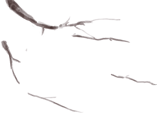 【护理速递】丨冬至暖意浓，康复伴同行